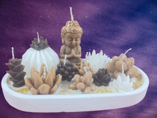 Suculentas Suculentas